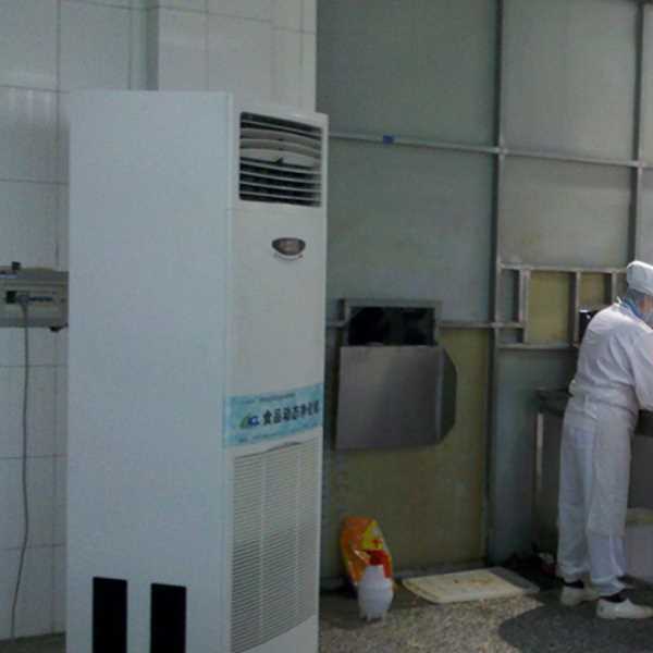 石柱食品正负离子空气杀菌器